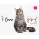 Ｉ　ＬＯＶＥ　ねこカレンダー２０２４ [カレンダー]