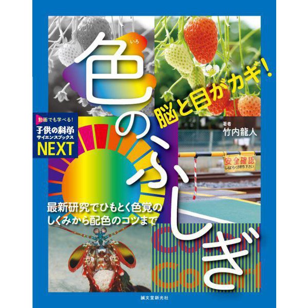 脳と目がカギ!色のふしぎ―最新研究でひもとく色覚のしくみから配色のコツまで(子供の科学サイエンスブックスNEXT) [全集叢書] |  japan-tattoo.jp