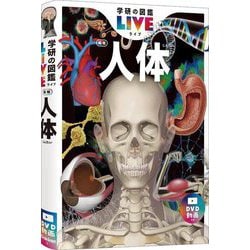 ZENレイフラット® ART LX | アスカブック ASUKABOOK