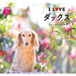 Ｉ　ＬＯＶＥ　ダックスカレンダー　２０２４ [カレンダー]