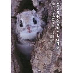 エゾモモンガちゃんの日々―ぼくたちの森と空 [単行本]