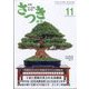 さつき研究 2023年 11月号 [雑誌]