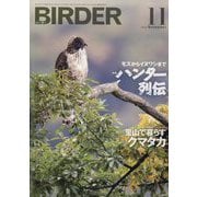 BIRDER (バーダー) 2023年 11月号 [雑誌]