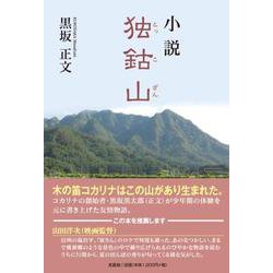 小説独鈷山 [単行本]