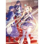 聖剣学院の魔剣使い 下