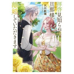 拝啓見知らぬ旦那様、離婚していただきます〈3〉(メディアワークス文庫) [文庫]