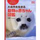 ベストショット!大自然を生きる動物の赤ちゃん図鑑 [単行本]