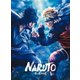 ライブ・スペクタクル NARUTO-ナルト- ～忍の生きる道～ [DVD]