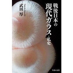 戦後日本の現代ガラス・私史 [単行本]