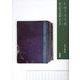 ためさるる日―井上正子日記1918-1922 [単行本]