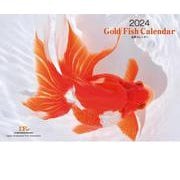 Gold Fish 金魚カレンダー 2024 （月めくり・壁掛け） [カレンダー]