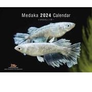 Medaka Calendar メダカカレンダー 2024（月めくり・壁掛け） [カレンダー]