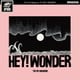 ザ・クロマニヨンズ／HEY! WONDER