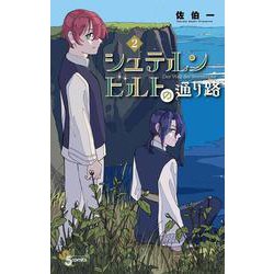 シュテルンビルトの通り路<２>(少年サンデーコミックス) [コミック]