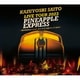 斉藤和義／KAZUYOSHI SAITO LIVE TOUR 2023 PINEAPPLE EXPRESS ～明日大好きなロックンロールバンドがこの街にやってくるんだ～ Live at 川口総合文化センター