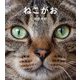 ねこがお(IWAGO'S BOOK) [単行本]