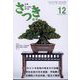 さつき研究 2023年 12月号 [雑誌]