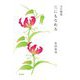 花にもなれる―五行歌集 [単行本]
