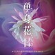 沢田完／テレビ朝日系オシドラサタデー「単身花日」オリジナル・サウンドトラック