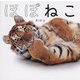 ほぼねこ―ネコ科の猛獣たちのネコみたいな写真集 [単行本]
