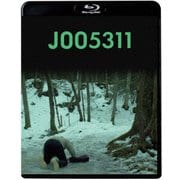 J005311