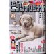 ビッグコミックオリジナル 2023年 12/5号 [雑誌]