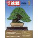 近代盆栽 2024年 01月号 [雑誌]