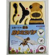 立体パズル　昆虫　日本ミツバチ [ムックその他]