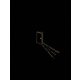 田所あずさ／AZUSA TADOKORO LIVE 2023～Private Room～ Live Blu-ray [Blu-ray Disc]