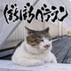 打首獄門同好会／ぼちぼちベテラン