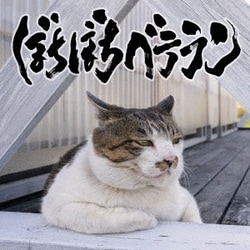 打首獄門同好会／ぼちぼちベテラン