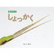 虫のからだ〈3〉しょっかく [図鑑]