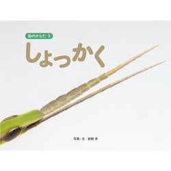 虫のからだ〈3〉しょっかく [図鑑]