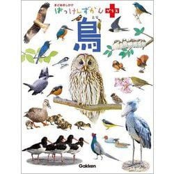 鳥(はっけんずかんプラス) [図鑑]