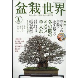 盆栽世界 2024年 01月号 [雑誌]
