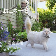 ねこの一日 [単行本]