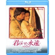 君のいた永遠