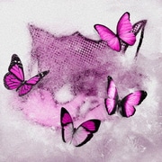Frozen Butterfly