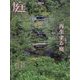 庭 2024年 02月号 [雑誌]