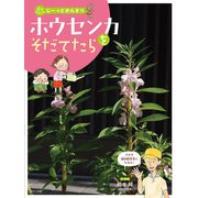 ホウセンカをそだてたら(花をそだててじーっとかんさつ) [全集叢書]