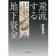 還流する地下資金―犯罪・テロ・核開発マネーとの闘い [単行本]