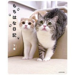 もちはな日記 [単行本]