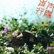 ズーカラデル／太陽歩行