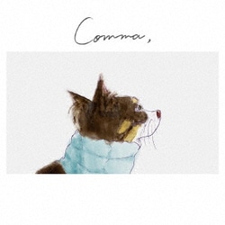 佐々木恵梨／Comma