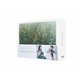 いちばんすきな花 -ディレクターズカット版- DVD-BOX [DVD]
