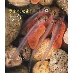 うまれたよ!サケ(よみきかせいきものしゃしんえほん〈47〉) [絵本]