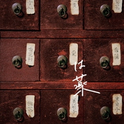 wacci／愛は薬