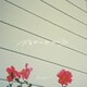 ヤングスキニー／不器用な私だから