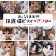 みんなしあわせ!保護猫ビフォ→アフタ→ [単行本]