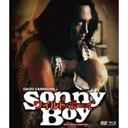 ワイルド・ボーイ blu-ray&DVD BOX